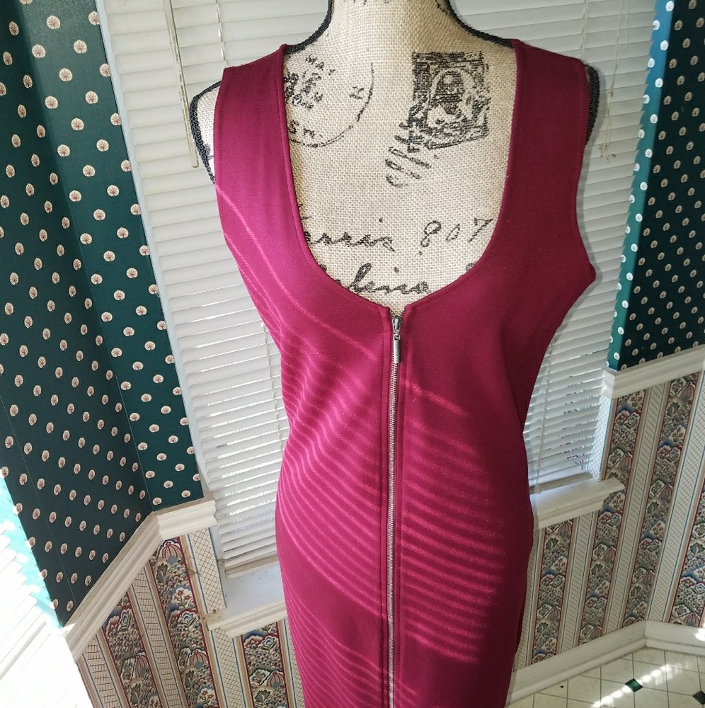 Nicki Minaj Front Zip Dress